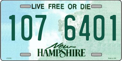 NH license plate 1076401