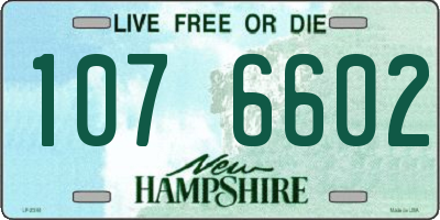 NH license plate 1076602