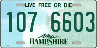 NH license plate 1076603