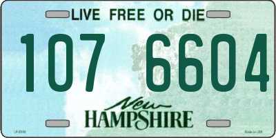NH license plate 1076604