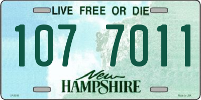 NH license plate 1077011