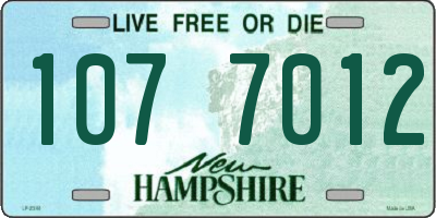 NH license plate 1077012