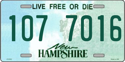 NH license plate 1077016