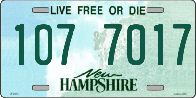 NH license plate 1077017