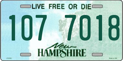 NH license plate 1077018