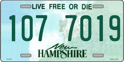 NH license plate 1077019
