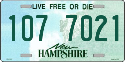 NH license plate 1077021