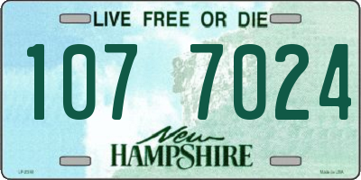 NH license plate 1077024