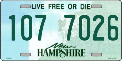 NH license plate 1077026