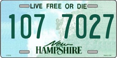 NH license plate 1077027