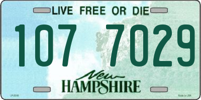 NH license plate 1077029