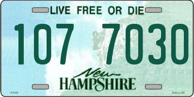 NH license plate 1077030