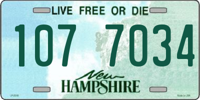 NH license plate 1077034