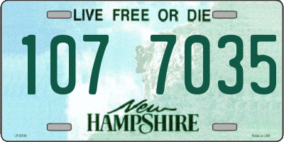 NH license plate 1077035