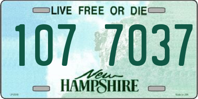 NH license plate 1077037