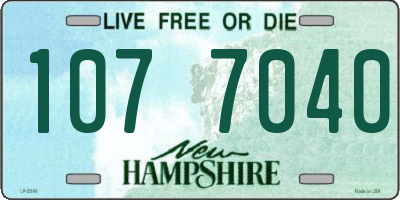 NH license plate 1077040