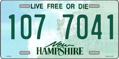 NH license plate 1077041