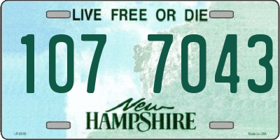 NH license plate 1077043