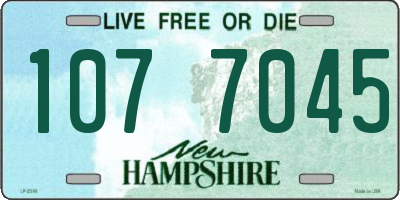 NH license plate 1077045