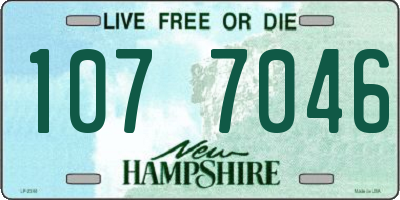 NH license plate 1077046
