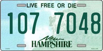 NH license plate 1077048