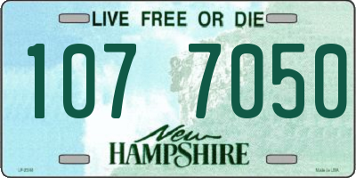 NH license plate 1077050