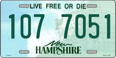 NH license plate 1077051