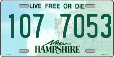 NH license plate 1077053
