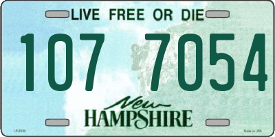 NH license plate 1077054