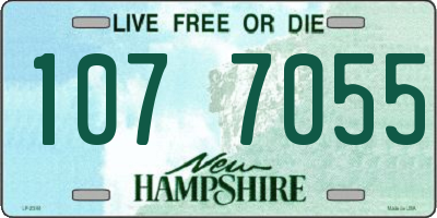 NH license plate 1077055