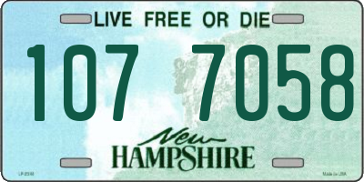 NH license plate 1077058