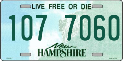 NH license plate 1077060