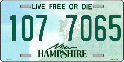 NH license plate 1077065