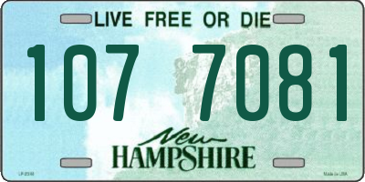 NH license plate 1077081