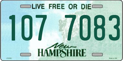 NH license plate 1077083