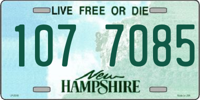 NH license plate 1077085