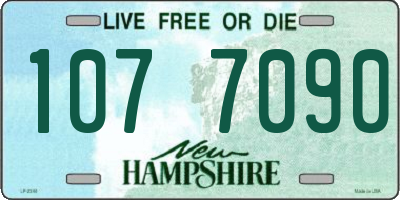 NH license plate 1077090