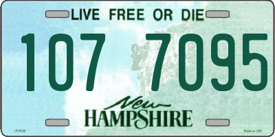 NH license plate 1077095