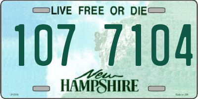 NH license plate 1077104