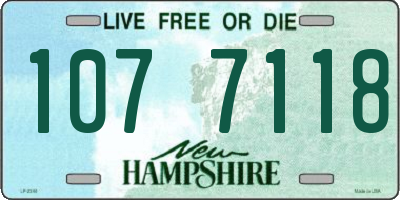NH license plate 1077118