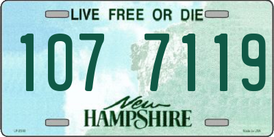 NH license plate 1077119