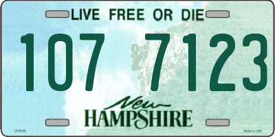 NH license plate 1077123
