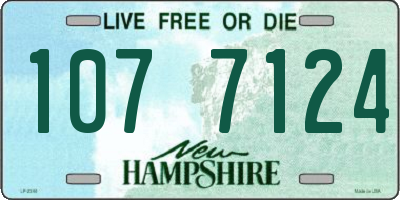 NH license plate 1077124