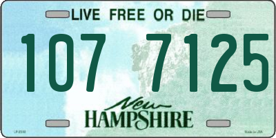 NH license plate 1077125