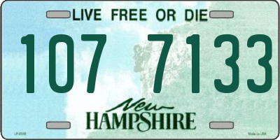 NH license plate 1077133