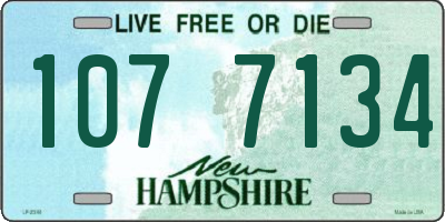 NH license plate 1077134