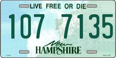 NH license plate 1077135