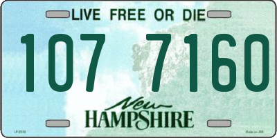NH license plate 1077160