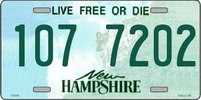 NH license plate 1077202