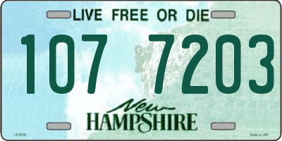 NH license plate 1077203